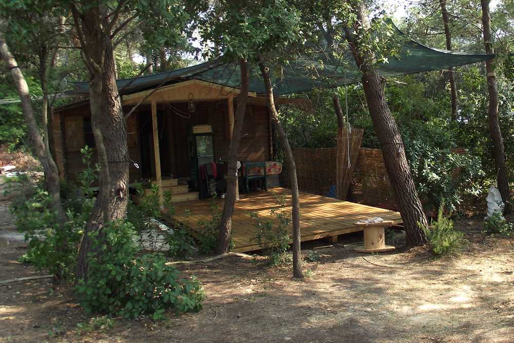 novi članakl